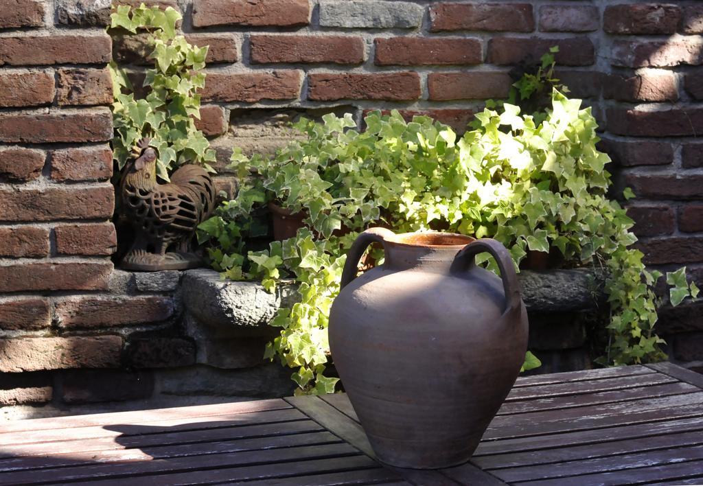 B&B Edera Castagnole Piemonte Dış mekan fotoğraf