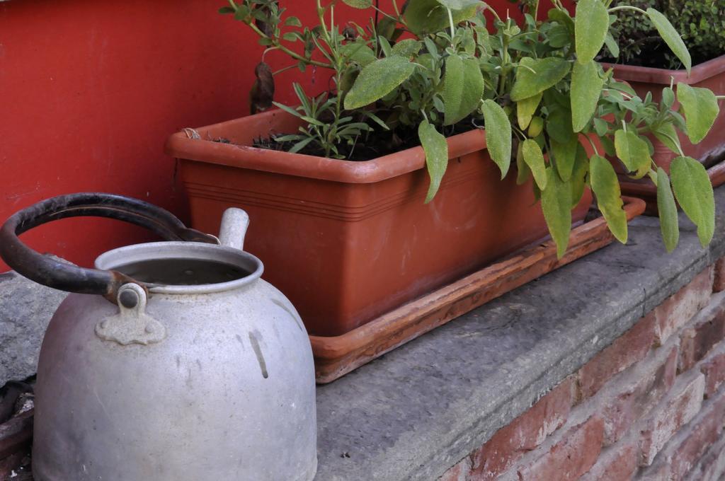 B&B Edera Castagnole Piemonte Dış mekan fotoğraf