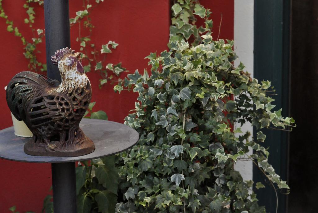 B&B Edera Castagnole Piemonte Dış mekan fotoğraf